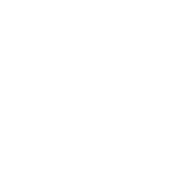Momentum Nutrition